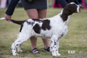 Foto: Hans-Arne Paulsen, HAP Photography