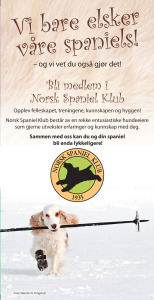 Norsk-Spaniel-Klub-verve