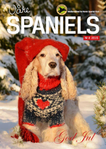 VS 4 2015 forsidebilde