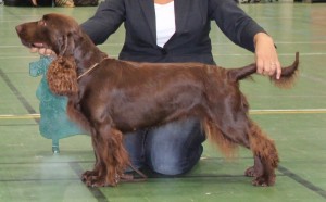 Winterbourne Special Design