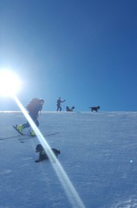 Bilde 12 Trine Svartås 2