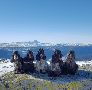 Bilde 13 Trine Svartås