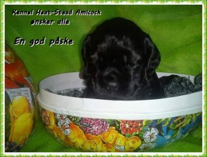 Bilde 18 Heidi Larsen