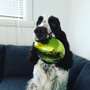 Bilde 2 Malin Persen