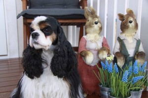 Bilde 21 Tom Fredriksen