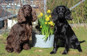 Bilde 3 Ida Anette Norheim 1