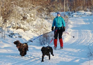 Bilde 4 Eirik Selsaas 2