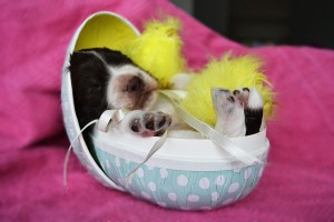 Bilde 6 Lise Tromsdal