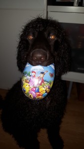 Bilde 7 Eva Hemmingsen