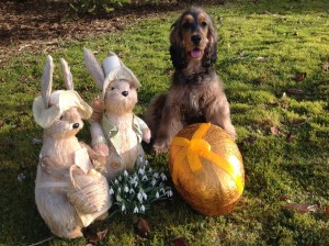 Bilde 8 Torunn Johansen