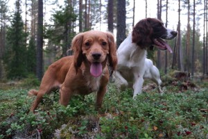 Perle og My på skogstur Foto Peder Zeiner Christiansen