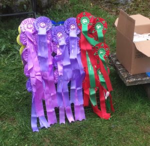 Bilde 30.05.2016, 20.31.02