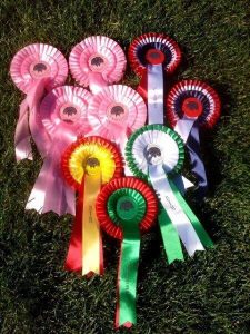 13867051_1273685852665010_2072253708_n