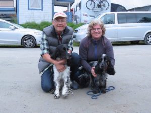 To spaniels i finalen. Foto: Are Haukaas