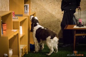 nm-smeller1 Foto Pål Hodne