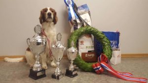 vinner-nm-smeller Foto Linn Therese Andersen