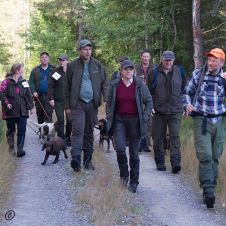 frist-for-innmelding-av-prover-2025