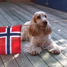 hovedutstillingen-2020