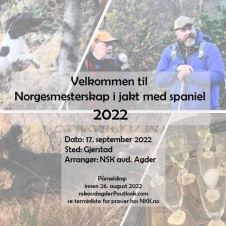 nm-i-jakt-med-spaniel-2022