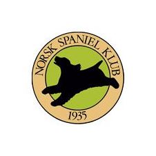 oppdatert-dommerliste-2020