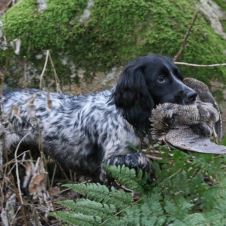 velkommen-til-norgesmesterskap-i-jakt-2024