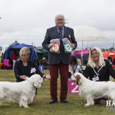 dommerliste-for-norsk-spaniel-klubs-utstillinger-i-2017