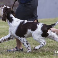 utstilling-i-porsgrunn-6-februar