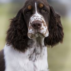 pm-til-hovedutstillingen-2