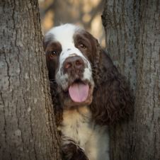 innkalling-til-ekstraordinaert-arsmote-i-nsk-avd-buskerud