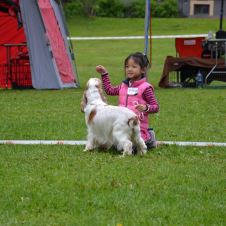 velkommen-til-hovedutstillingshelgen-21-22-mai