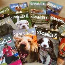 vare-spaniels-nr-1-2016