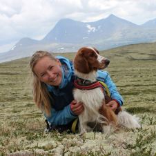 arets-mestvinnende-brukshunder-2015-2