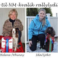 fire-spaniels-i-nm-kvalik-i-rallylydighet-20-august