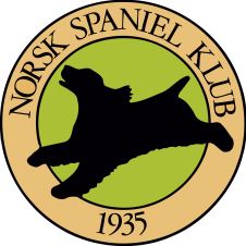 innkalling-til-representantskapsmote-rs-2016