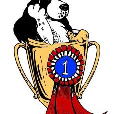 send-inn-resultater-til-arets-mestvinnende-brukshund