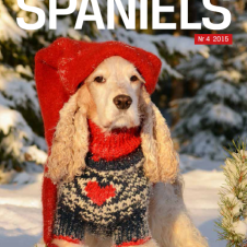 vare-spaniels-nr-4-2015
