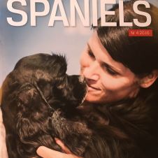 organisasjonskurs-i-buskerud