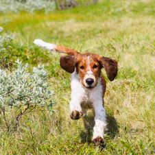 representantskapsmotet-er-flyttet-til-helgen-5-til-7-mai