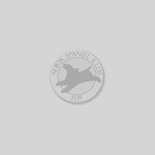 bli-med-og-verv-nye-nsk-medlemmer