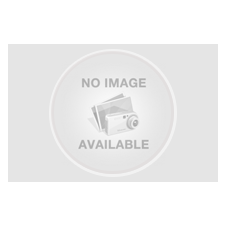 arets-mestvinnende-utstillingsspaniels-pr-16-september-2016